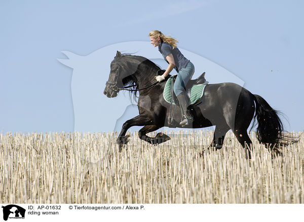 Ausritt ber ein Stoppelfeld / riding woman / AP-01632