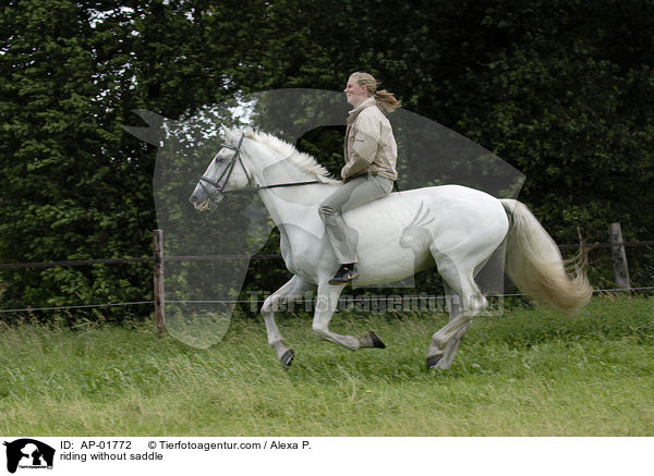 reiten ohne Sattel / riding without saddle / AP-01772