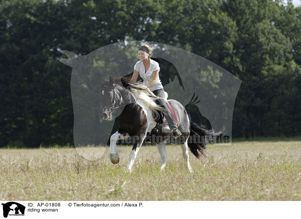 Frau galoppiert mit Pferd ber Weise / riding woman / AP-01808
