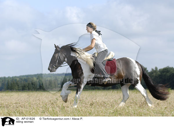 Frau galoppiert mit Pferd ber Weise / riding woman / AP-01826