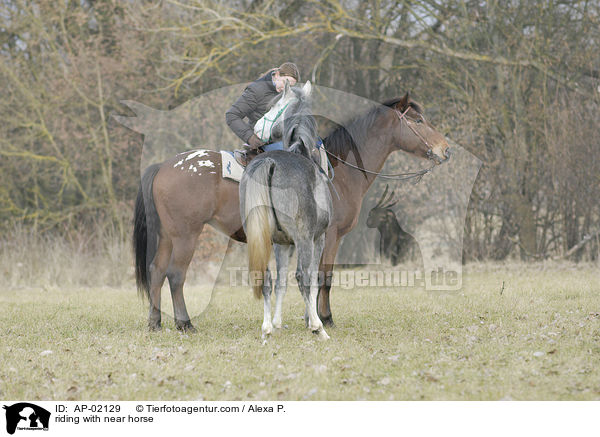 riding with near horse / AP-02129