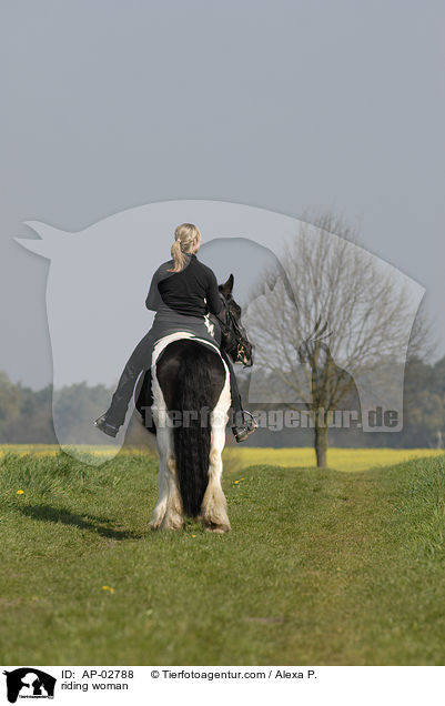 Freizeitreiten / riding woman / AP-02788