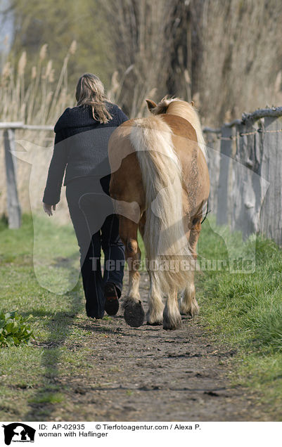 junge Frau mit Haflinger / woman with Haflinger / AP-02935