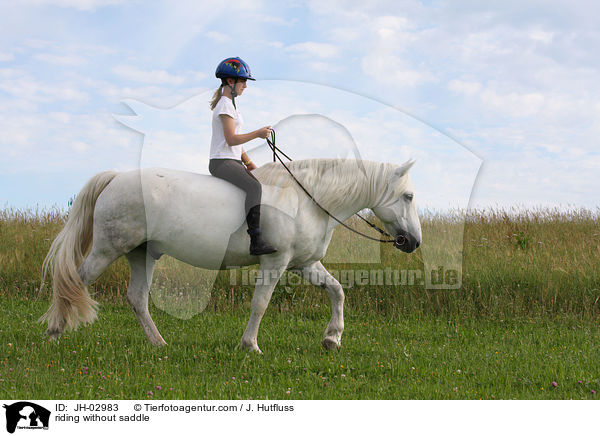 sattellos reiten / riding without saddle / JH-02983