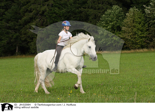 sattellos reiten / riding without saddle / JH-02984