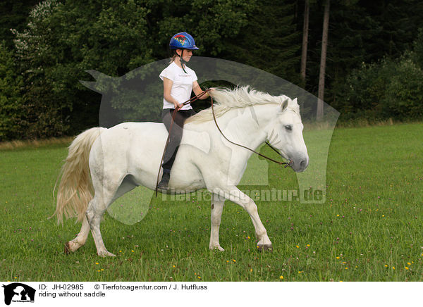 sattellos reiten / riding without saddle / JH-02985