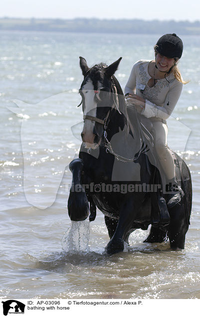 bathing with horse / AP-03096