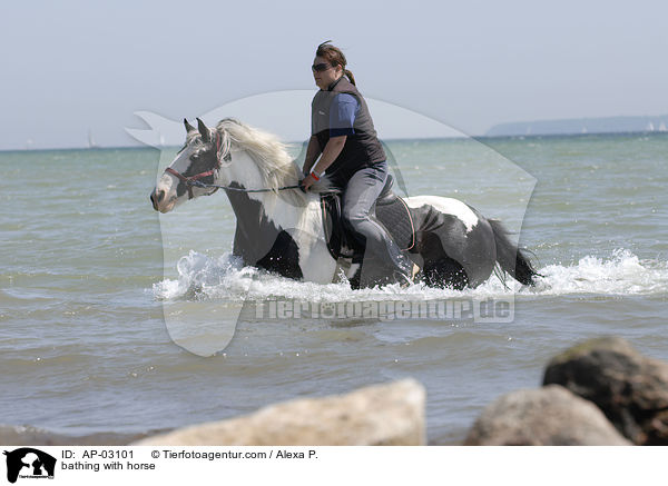 mit Pferden baden / bathing with horse / AP-03101