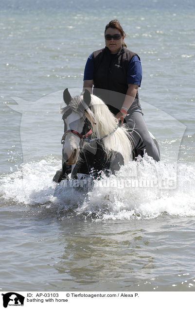 bathing with horse / AP-03103
