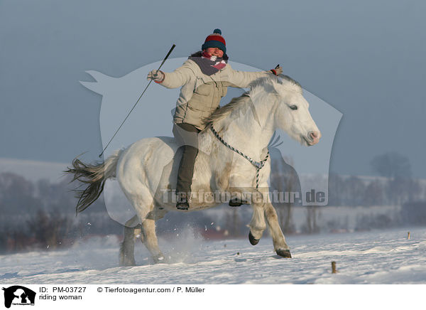 Freizeitreiten / riding woman / PM-03727