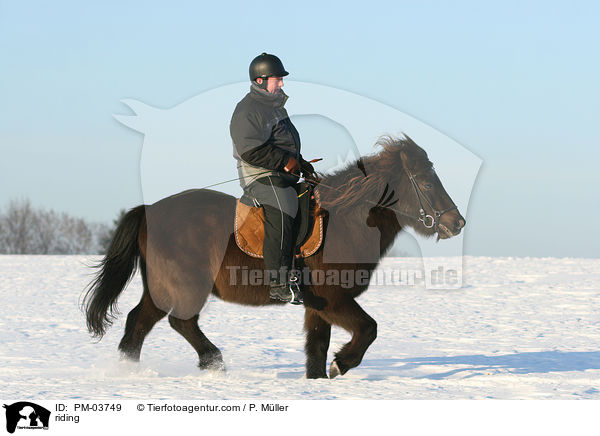 Freizeitreiten / riding / PM-03749