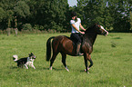 woman rides German Riding Pony accompanied by a dog