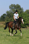 woman rides German Riding Pony in the meadow