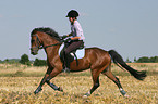 woman rides German Riding Pony on stubblefield