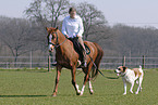 rider accompanied by dog