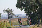 horsewoman