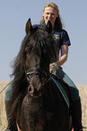 friesian horse portrait