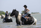 bathing with horse
