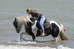 bathing with horse