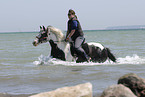 bathing with horse