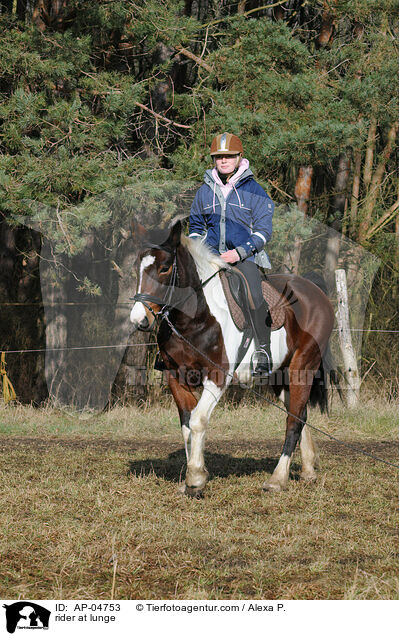 Reiter an der Longe / rider at lunge / AP-04753