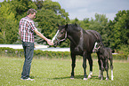 mare with foal