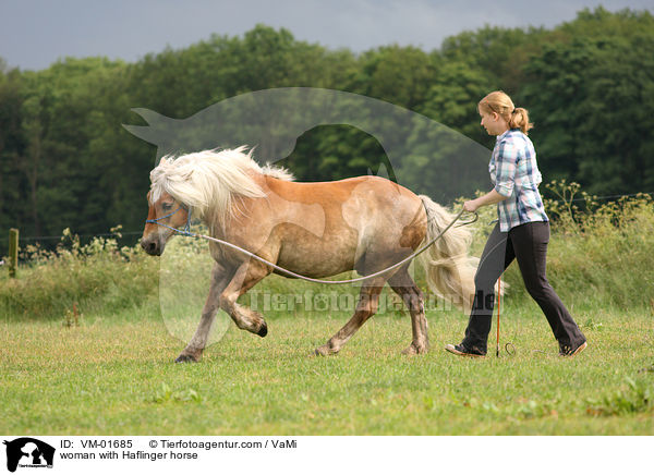 woman with Haflinger horse / VM-01685