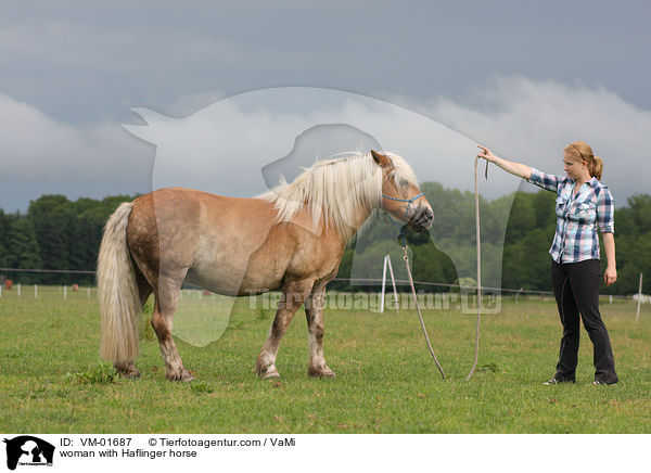 woman with Haflinger horse / VM-01687