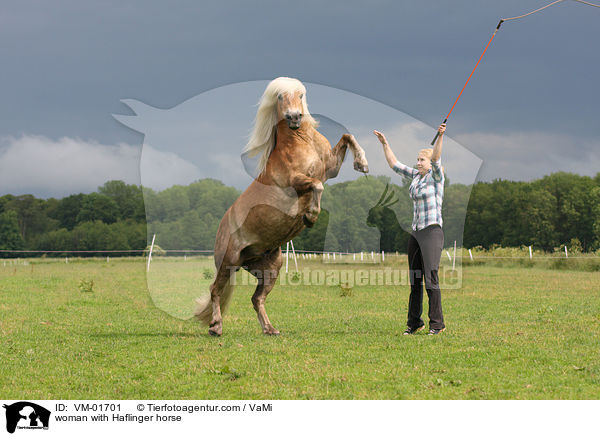 Frau mit Haflinger / woman with Haflinger horse / VM-01701
