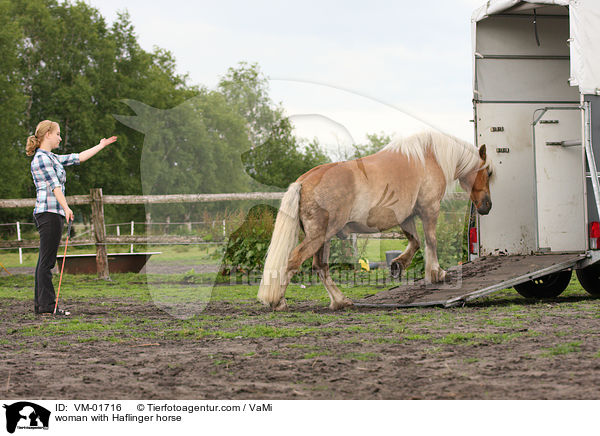 woman with Haflinger horse / VM-01716