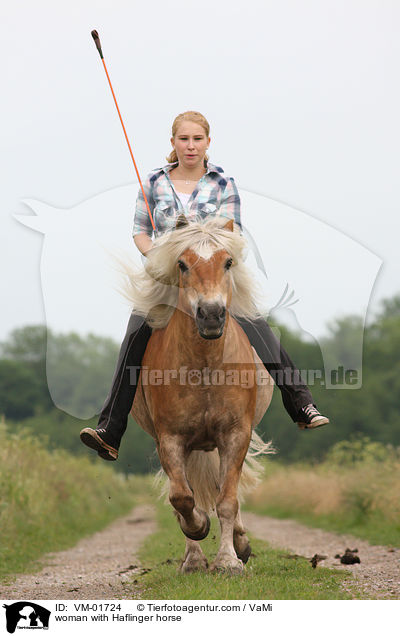 woman with Haflinger horse / VM-01724