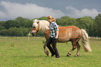 woman with Haflinger horse