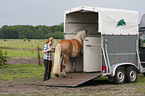 woman with Haflinger horse