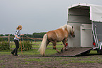 woman with Haflinger horse