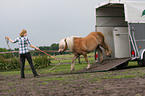 woman with Haflinger horse