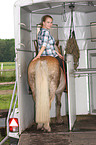 woman with Haflinger horse