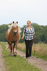 woman with Haflinger horse