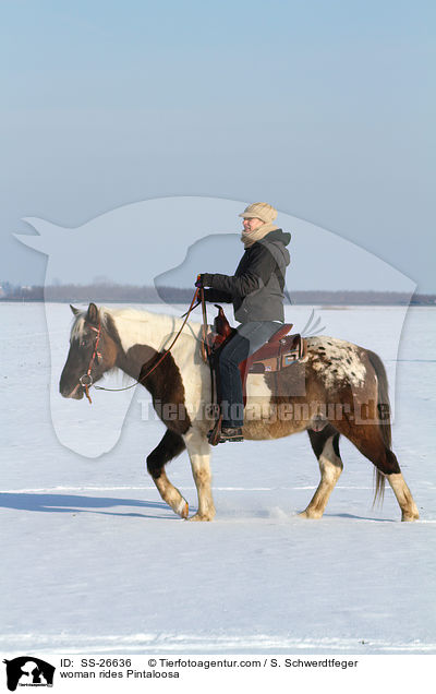 Frau reitet Pintaloosa / woman rides Pintaloosa / SS-26636