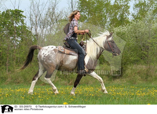 woman rides Pintaloosa / SS-26970