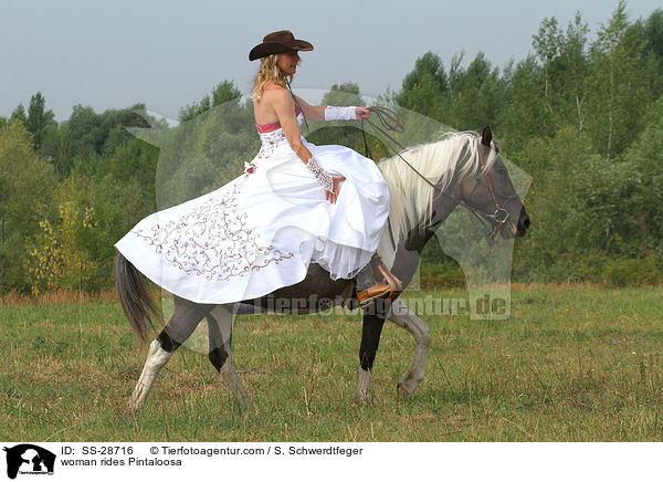 Frau reitet Pintaloosa / woman rides Pintaloosa / SS-28716