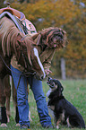 woman with horse and dog