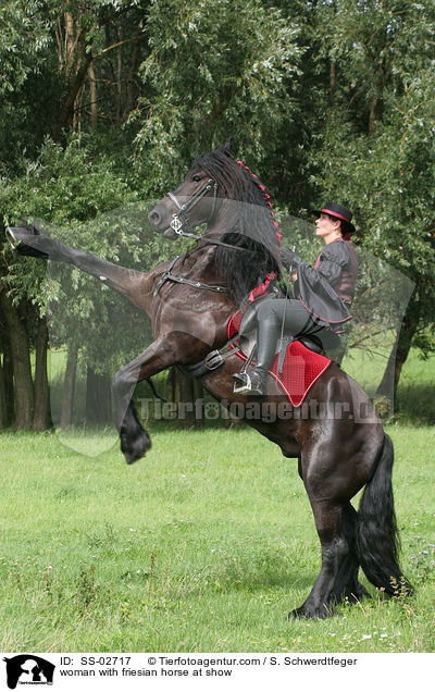 woman with friesian horse at show / SS-02717