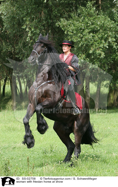Frau mit Friese beim Showreiten / woman with friesian horse at show / SS-02758