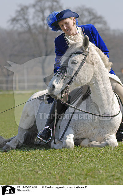 Showreiten / Showriding / AP-01288