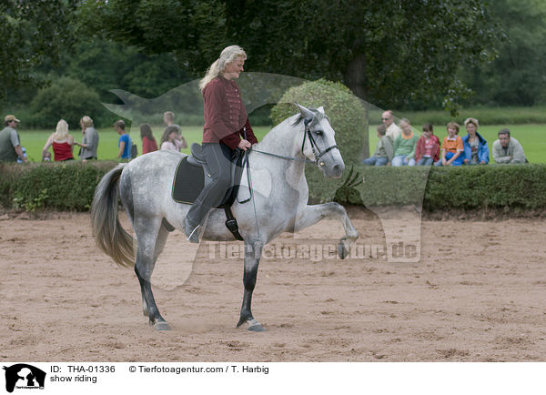 Spanischer Schritt / show riding / THA-01336