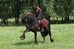 woman with friesian horse at show