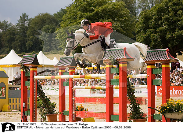 REDAKTIONELL - Meyer zu Hartum auf Waldrose - Balve Optimum 2006 - 06.08.2006 / EDITORIAL - Meyer zu Hartum auf Waldrose - Balve Optimum 2006 - 06.08.2006 / TH-01078