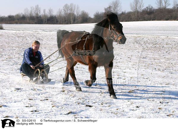 Schlittenfahrt mit Pferd / sledging with horse / SS-02610