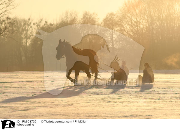 tobogganing / PM-03735