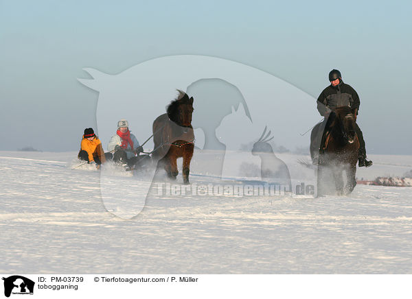 tobogganing / PM-03739